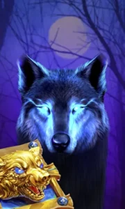 Book Of The Night Wolf