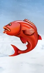 Ice Fishing